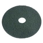 PRO-LINK Green Scrub Pad - 20"