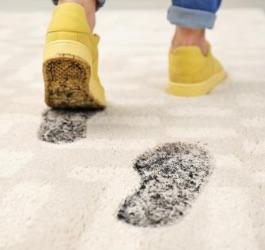 Matting Matters: The Hidden Hero of Commercial Spaces