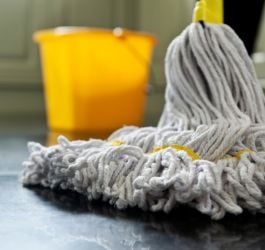 What's Growing On Your Floors?