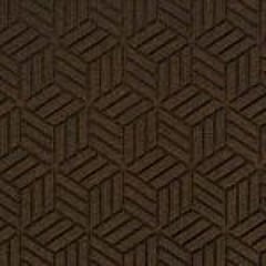 Entrance Wiper/Scraper